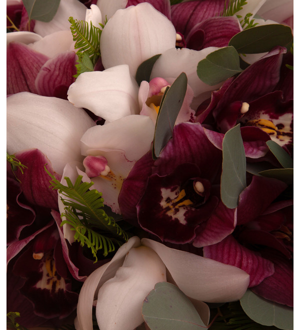 Букет-дуэт Аромат орхидей (15,25,35,51,75 или 101) – фото № 3