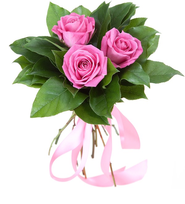 Bouquet of 3 pink roses RBR114 GOR – photo #1