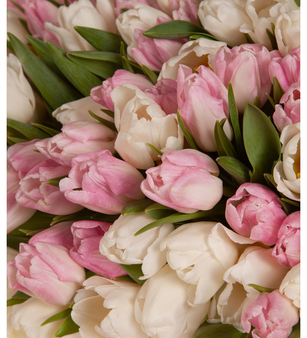 Composition of 201 tulips My Muse – photo #2