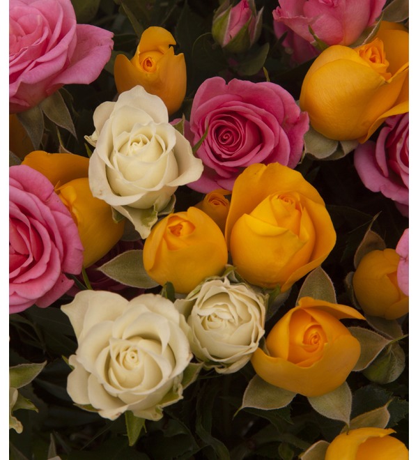 Букет-трио из кустовых роз Иллюзия (15,25,35,51 или 75) BR2411 SCH – фото № 2