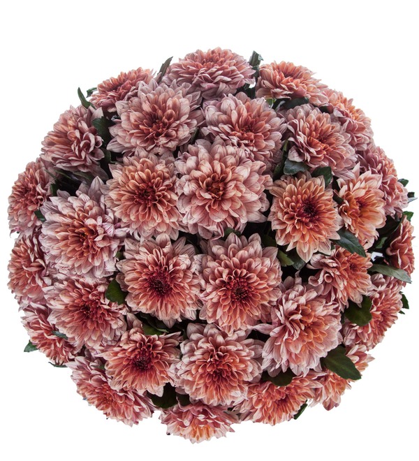 Bouquet of single-headed chrysanthemums Pip Salmon (21, 35 or 51) – photo #3