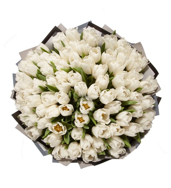 Букет-соло Белые тюльпаны (25,35,51,75,101 или 151) – фото № 4