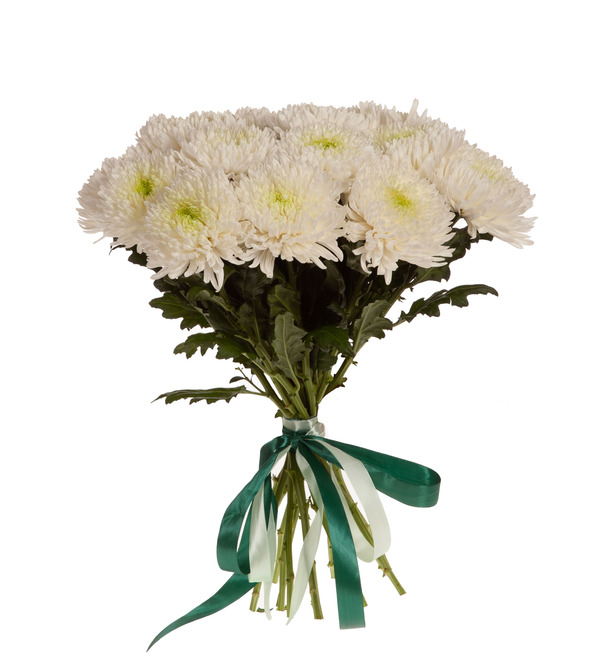 Bouquet-solo chrysanthemums Magnum (5,7,9,15,25,35 or 51) – photo #4