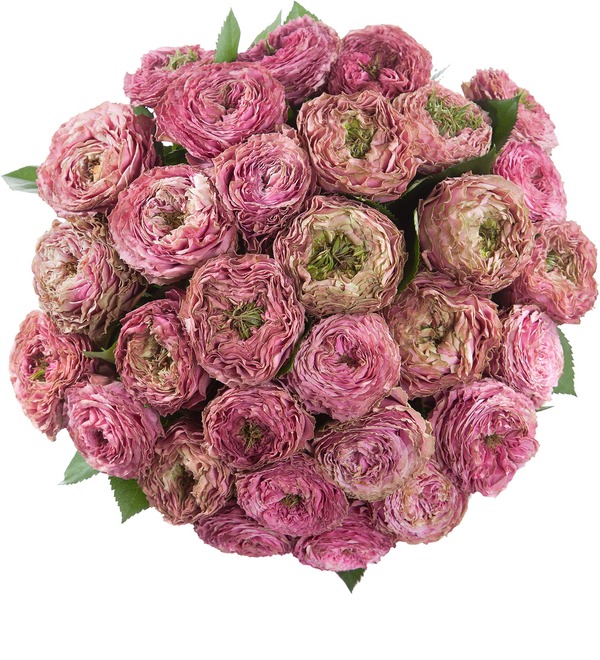 Букет из роз (11 или 27 роз) MN36 ROS – фото № 5