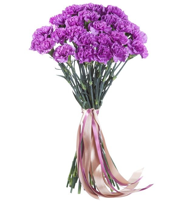 Bouquet of purple carnations MN10 MON – photo #2