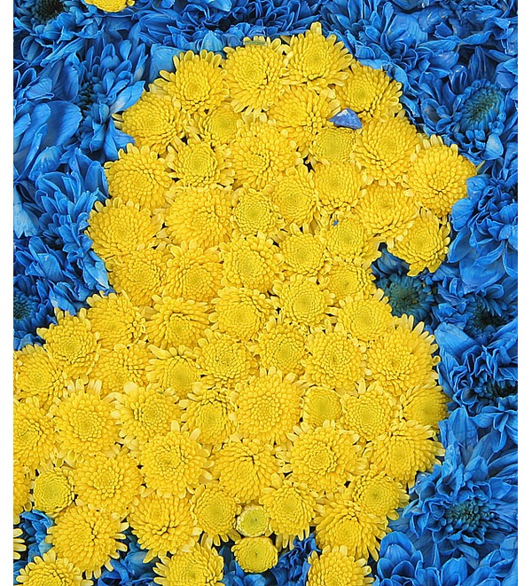 Знак зодиака Лев (23 июля - 23 августа) – фото № 5