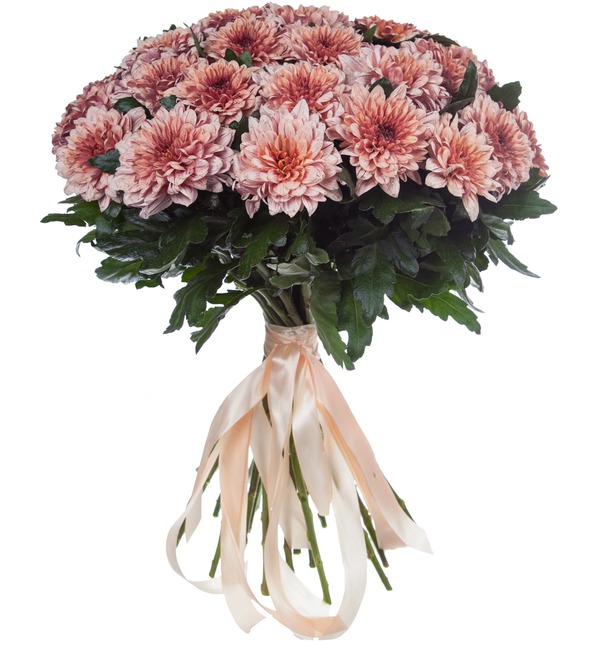 Bouquet of single-headed chrysanthemums Pip Salmon (21, 35 or 51) – photo #4