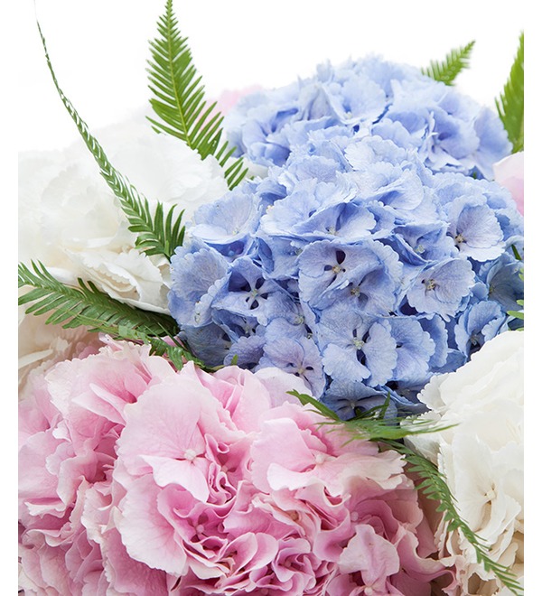 Bouquet of hydrangeas Soaring in the Clouds BC3628 LON – photo #4