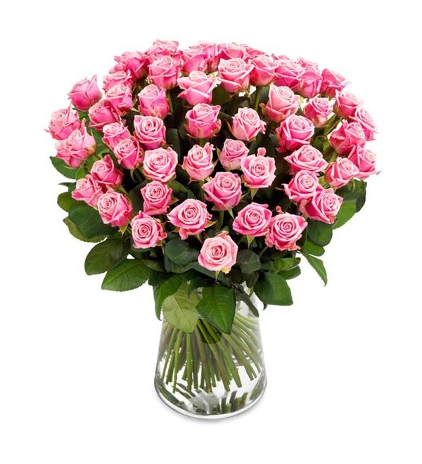 Pink roses BC02078 KAR – photo #1