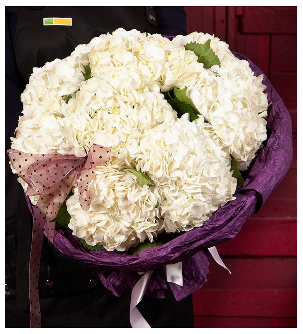 Bouquet-solo White hydrangeas (5,7,9 or 15) – photo #4