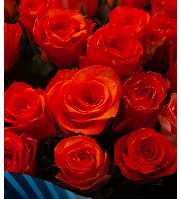Bouquet-solo of orange roses (25,51,75 or 101) – photo #3