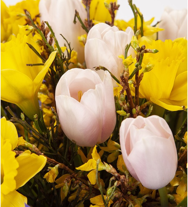 Bouquet-duet Harp melody – photo #3