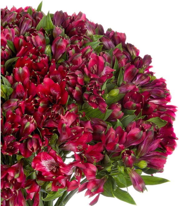Bouquet Ruby (25, 51 or 101 alstroemeria) – photo #5