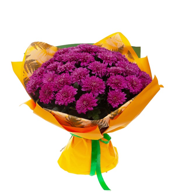 Букет-соло хризантем Bigoudi Purple (7,15,21,35 или 51) – фото № 5
