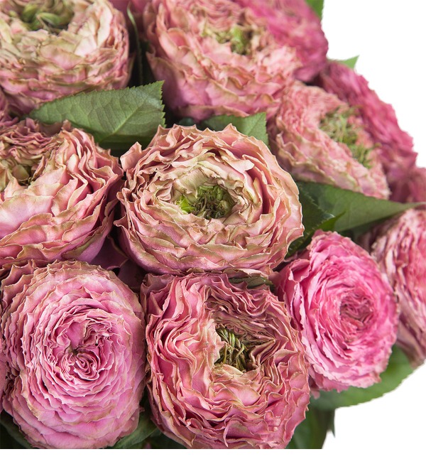 Букет из роз (11 или 27 роз) MN36 ROS – фото № 3