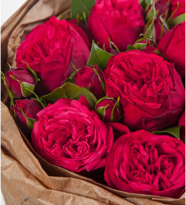 Букет красных пионовидных роз фото