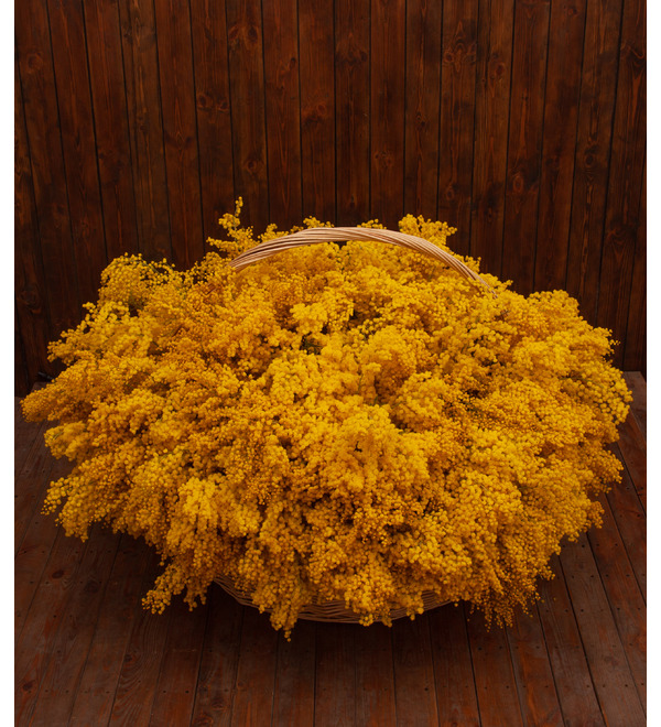 Composition Armful of mimosa – photo #1