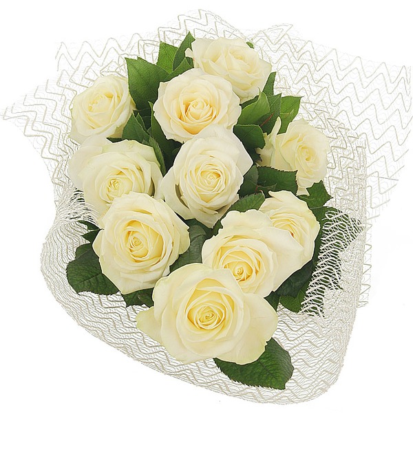 11 White Roses Bouquet My Compliments FR R11.White SAI – photo #4