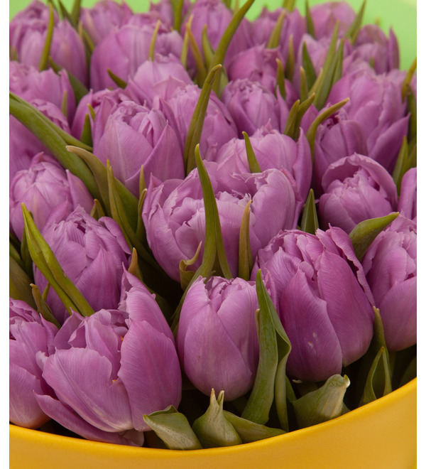 Bouquet-solo tulips Double Price(15,25,35,51,75 or 101) – photo #3