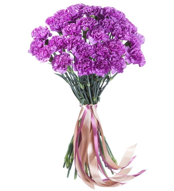 Bouquet of purple carnations MN10 MON – photo #1
