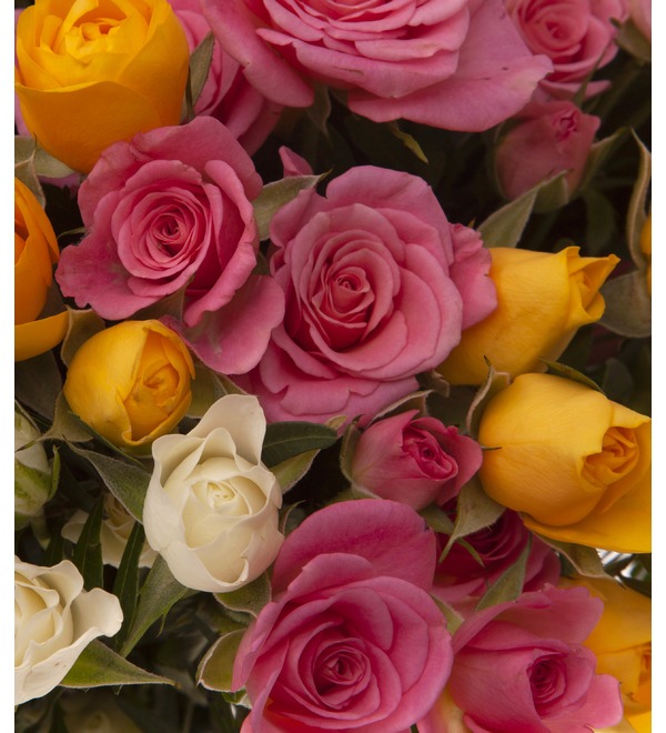 Букет-трио из кустовых роз Иллюзия (15,25,35,51 или 75) BR2411 GER – фото № 3