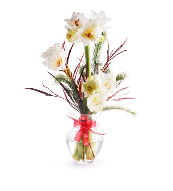 Passionate Christmas: white amaryllis BC09070 SAI – photo #1