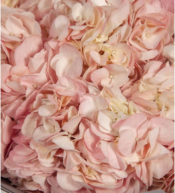 Букет-соло Розовые гортензии (5,7,9 или 15) – фото № 2