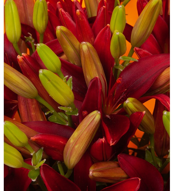 Букет-соло красных лилий (5,7,9,15,25 или 35) – фото № 2
