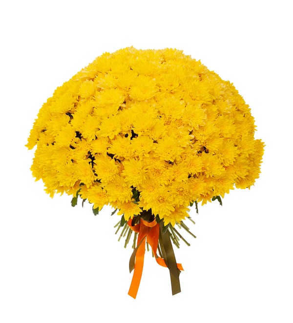 Bouquet-solo of yellow chrysanthemums (15,25,51,75 or 101) – photo #4