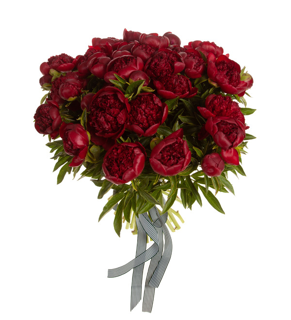 Bouquet-solo of Red Charm peonies (15,25,35,51,75 or 101) – photo #5