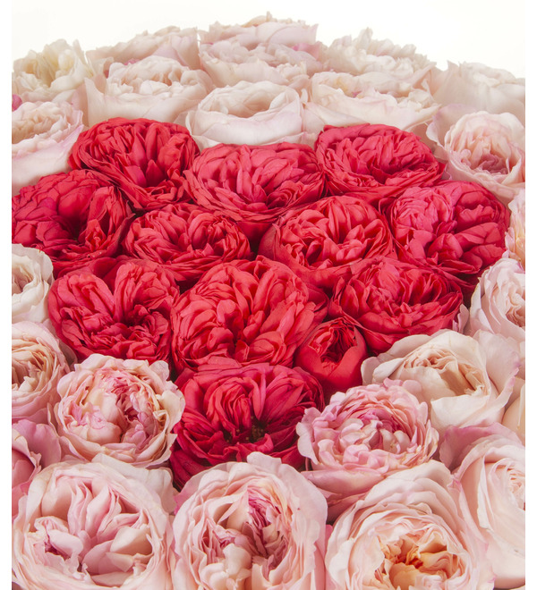 Композиция Стрела Купидона – фото № 2