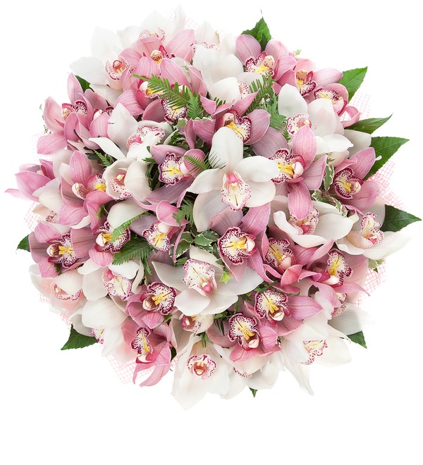 Bouquet duet Cymbidium Orchids BE4105 RUS – photo #5