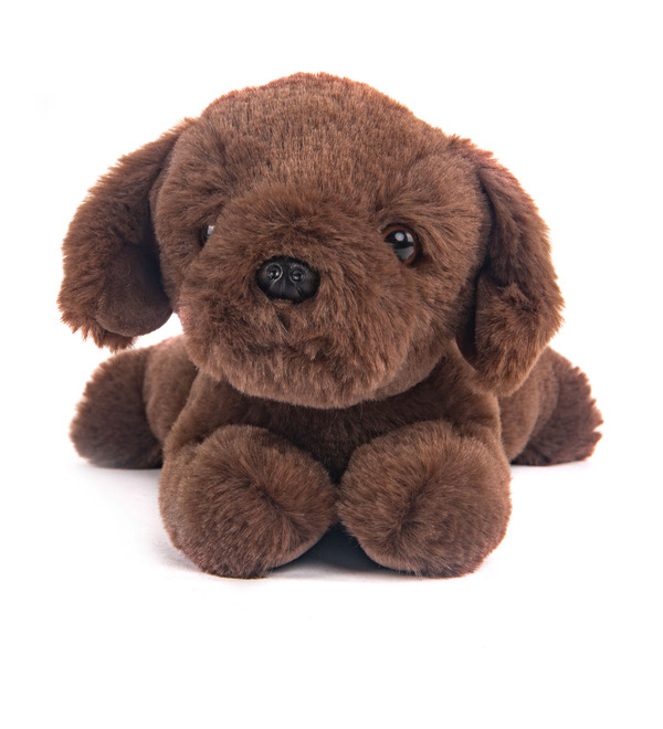 Soft toy Brown dog (28 cm) – photo #1