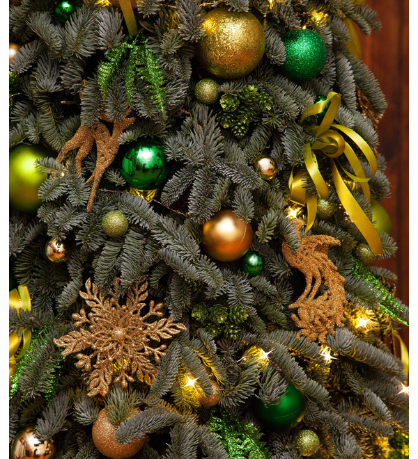 Christmas tree Green Beauty (110,150 or 200 cm) – photo #4