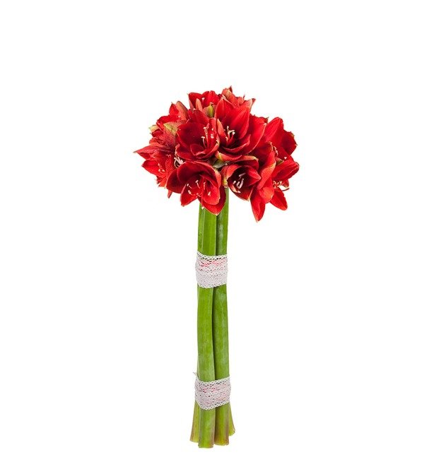 Bouquet of red Amaryllis Ferarri (5, 7 or 9) – photo #5