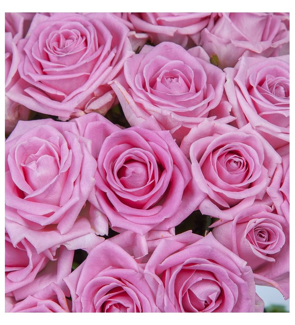 Букет роз Мечта (25, 51 или 75) SPBMN102 SAN – фото № 4