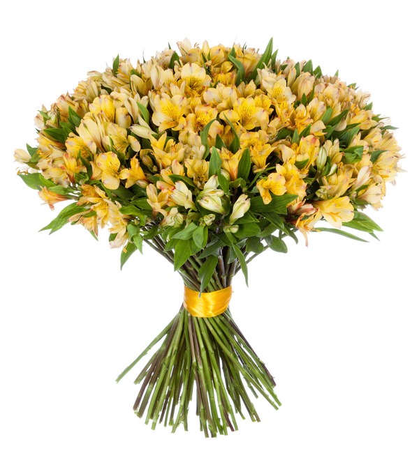 Bouquet Gold (25, 51 or 101 alstroemeria) MN208 RUS – photo #2