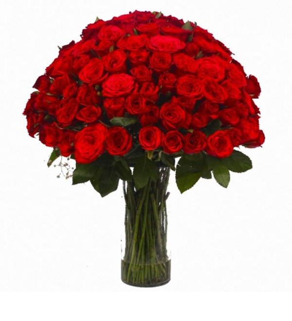 Hundred Red Roses Vase Arrangement gaifl0707 CAV – photo #1