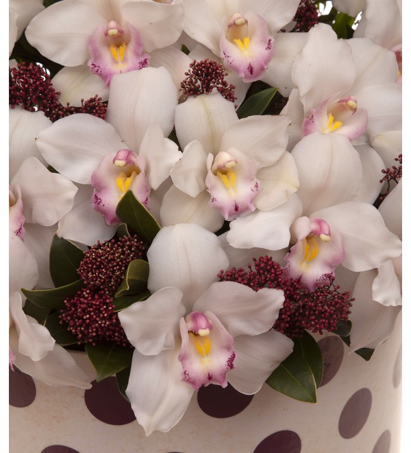 Composition Exotic orchids – photo #2