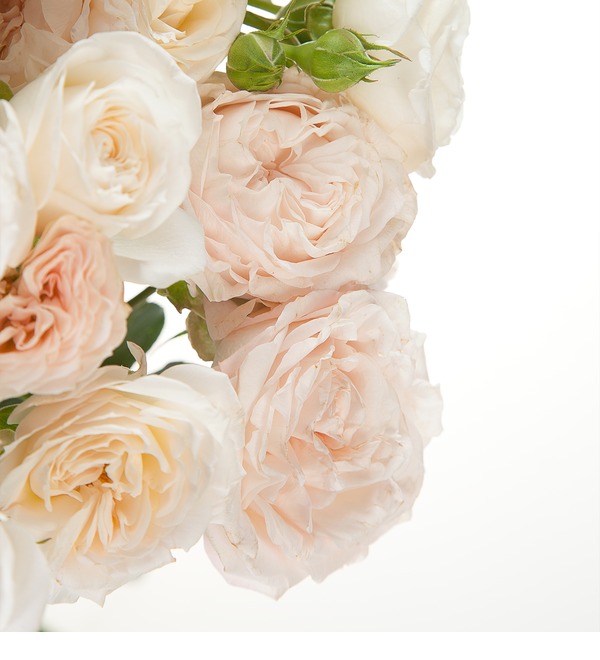 Букет-соло из пионовидных кустовых роз Bombastic – фото № 4