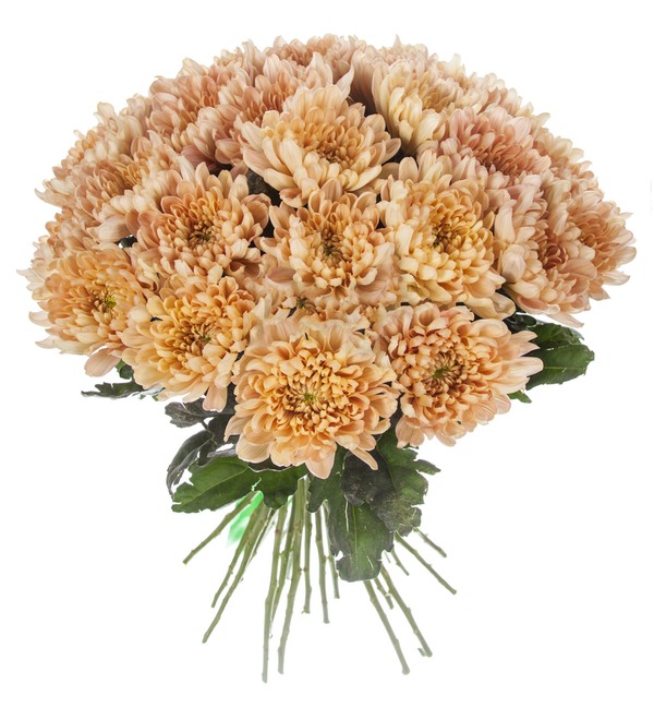 Bouquet of single-headed chrysanthemums Aljonka Salmon (21, 35 or 51) – photo #5