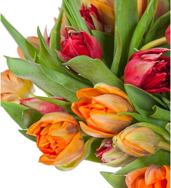 Bouquet of tulips Queen (25, 51 or 101) – photo #3