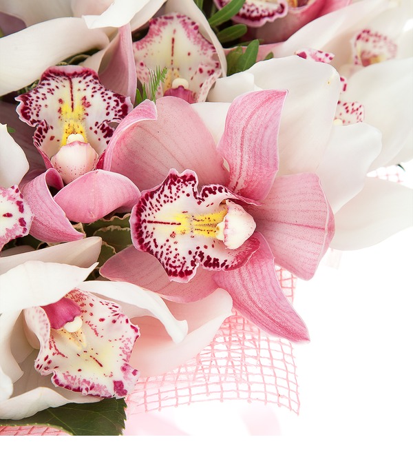 Bouquet duet Cymbidium Orchids BE4105 RUS – photo #3