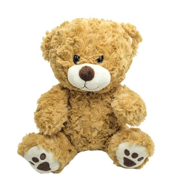 Teddy bear Toy TC20 BRN – photo #1