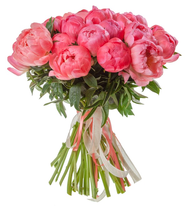 Bouquet-solo of peonies Coral Sunset (15, 29 or 51 peonies) BC3621 GER – photo #4