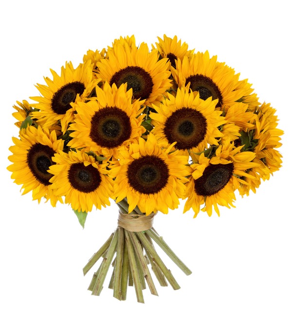 Bouquet of sunflowers (25, 51 or 75) – photo #2