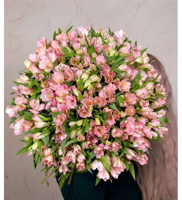 Букет-соло Розовые альстромерии (15,25,35,51,75 или 101) MN209 BRE – фото № 1