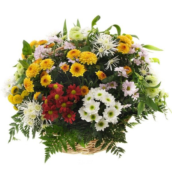 Arrangement Friendly greetings ZA AC504 MID – photo #3