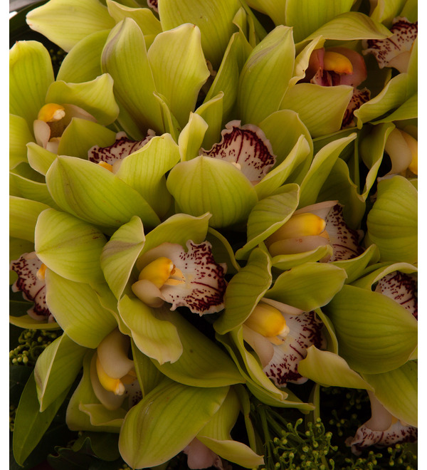 Bouquet-solo of green orchids (15,25,35,51,75 or 101) – photo #2
