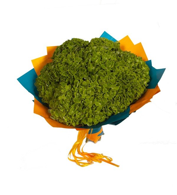 Bouquet-solo Green hydrangeas (5,7,9 or 15) – photo #5